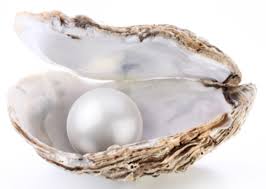 Pearl in a shell